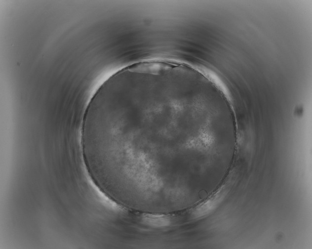 X0000092090855200709191244