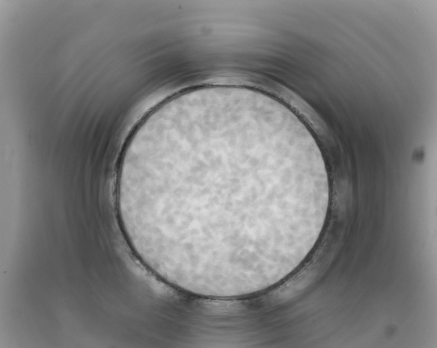 X0000092090856200709191244