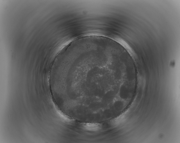 X0000092090857200709191244