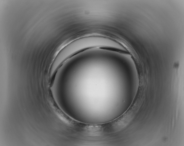 X0000092090858200709191244