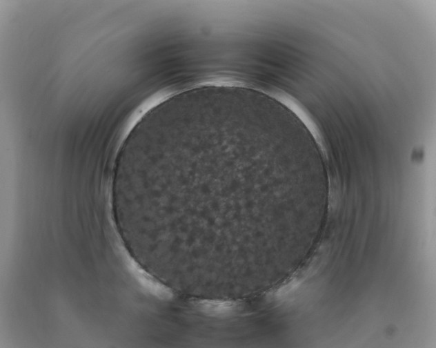 X0000092090861200709191244