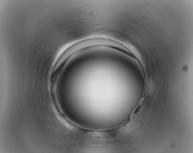 X0000092090862200709191244