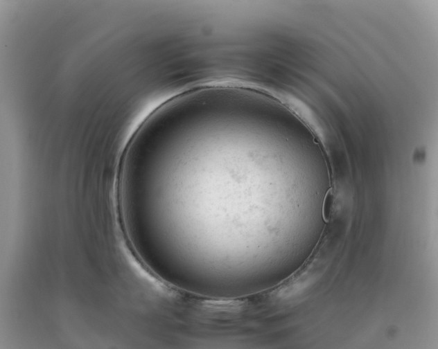 X0000092090863200709191244