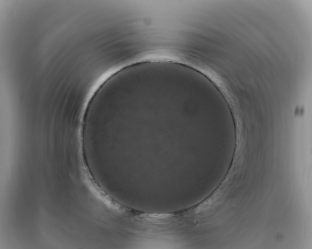 X0000092090864200709191244