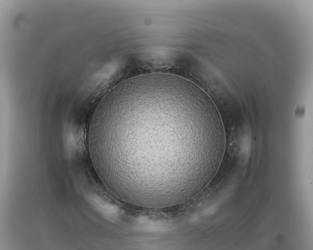 X0000092090866200709191243