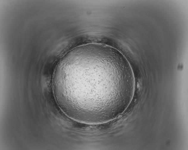 X0000092090867200709191243