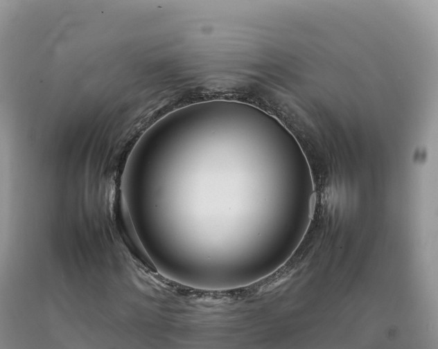 X0000092090868200709191243