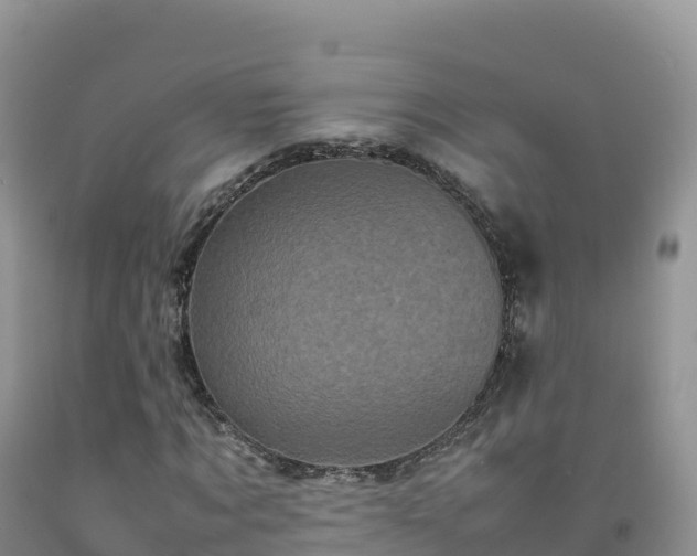 X0000092090869200709191243