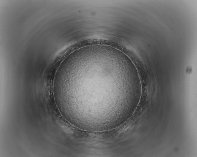X0000092090870200709191243
