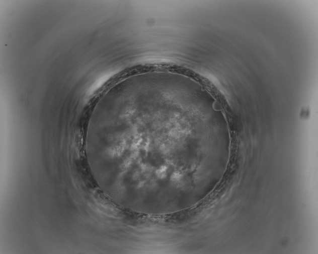 X0000092090871200709191243