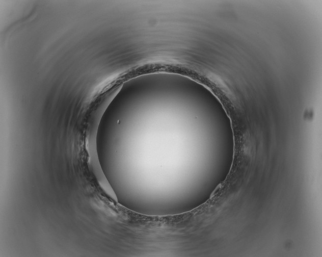 X0000092090872200709191243