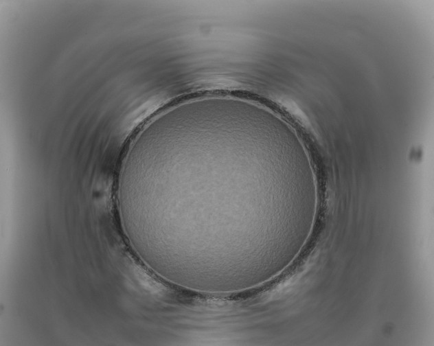 X0000092090873200709191243