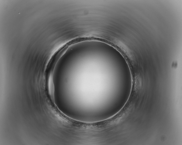 X0000092090876200709191243