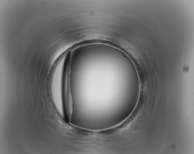 X0000092090877200709191243