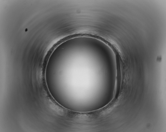 X0000092090880200709191243