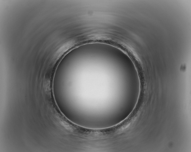 X0000092090881200709191243