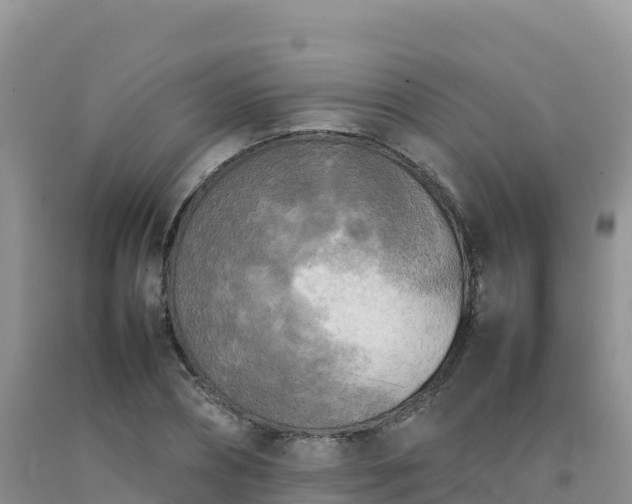 X0000092090882200709191243