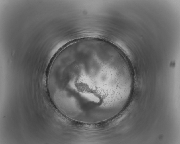 X0000092090883200709191243