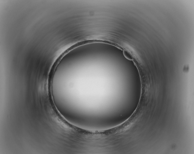 X0000092090884200709191243