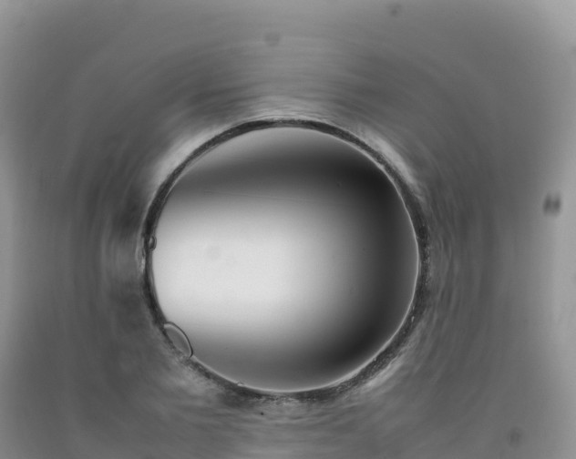 X0000092090885200709191243