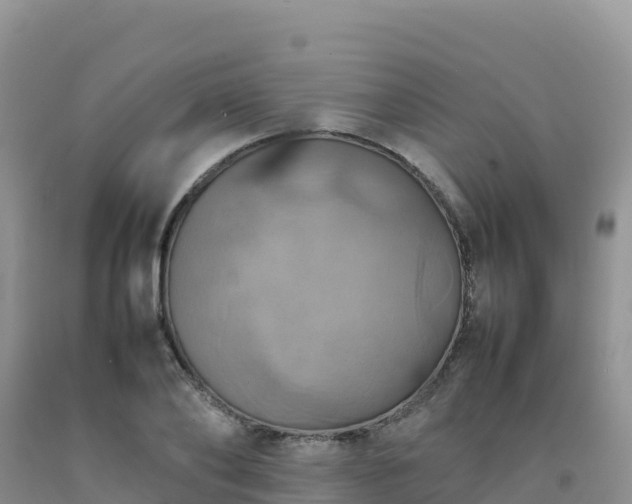 X0000092090886200709191243