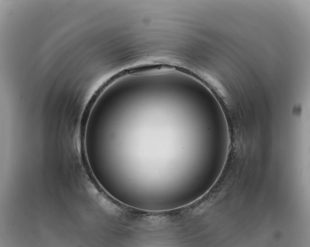 X0000092090888200709191243