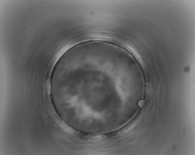 X0000092090891200709191243