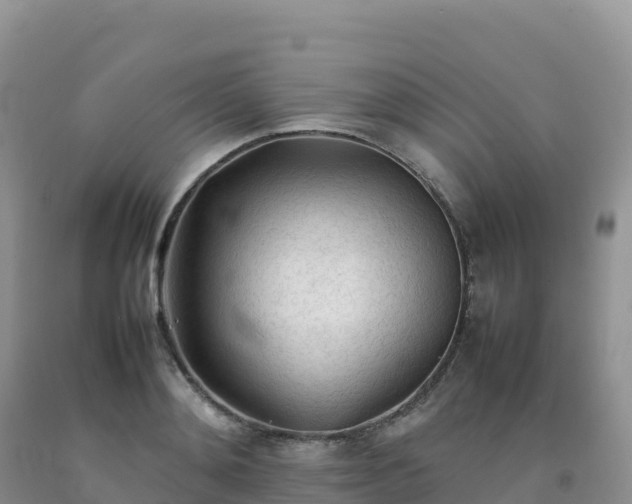 X0000092090892200709191243