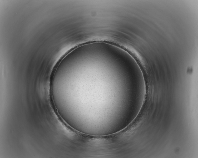 X0000092090894200709191243