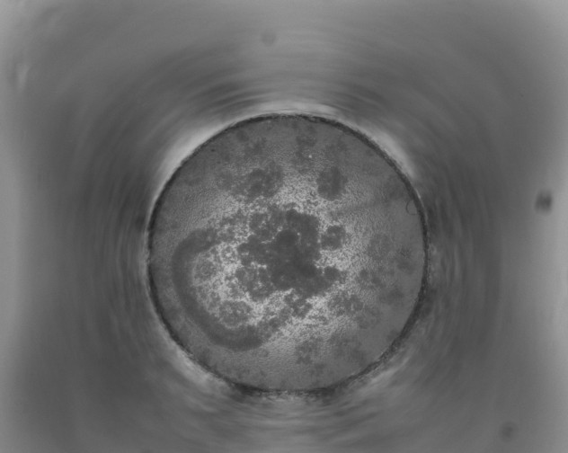 X0000092090895200709191243