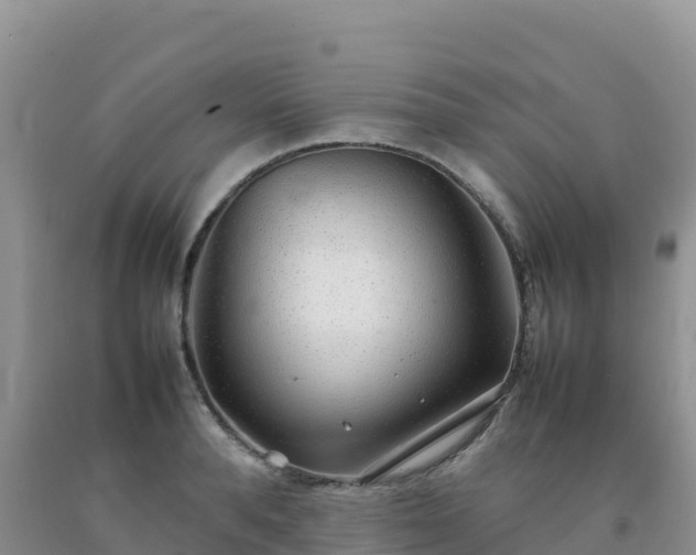 X0000092090896200709191243