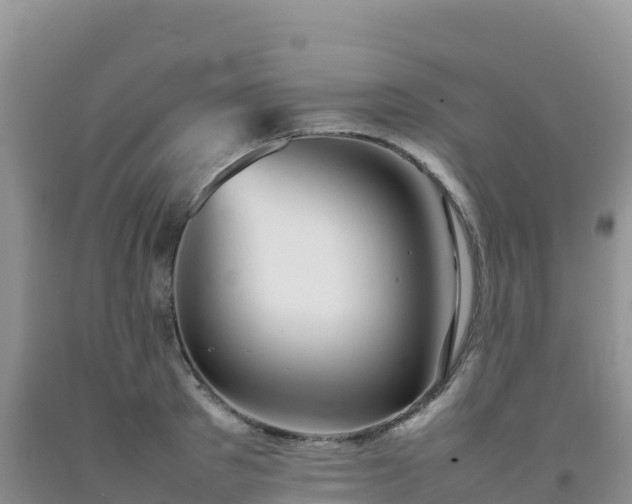X0000092090897200709191243