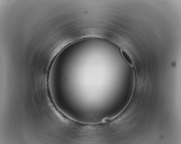 X0000092090898200709191243