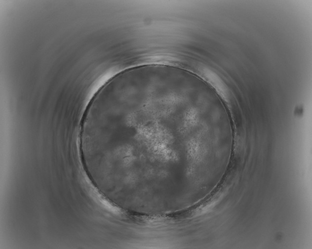 X0000092090899200709191243