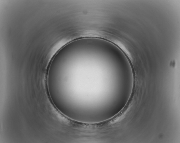 X0000092090901200709191243