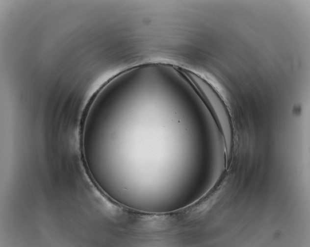 X0000092090902200709191243