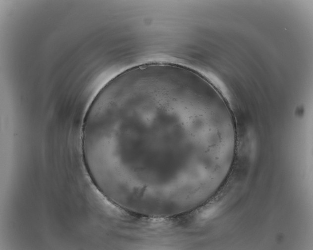 X0000092090903200709191243