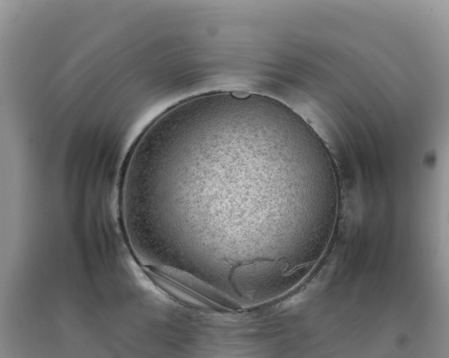 X0000092090904200709191243