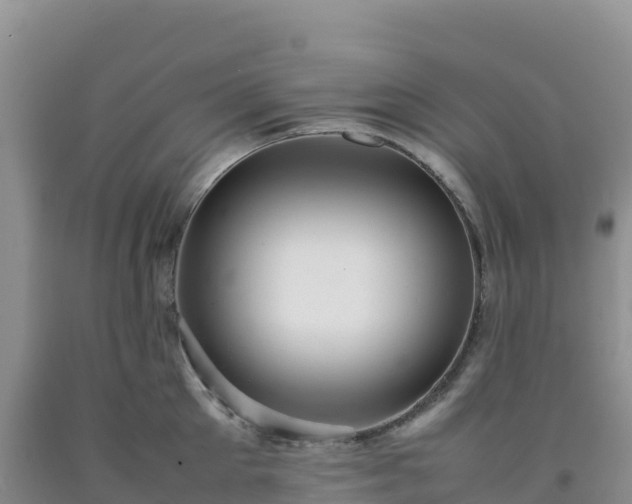 X0000092090905200709191243