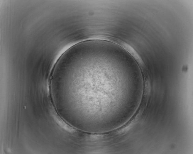 X0000092090908200709191243