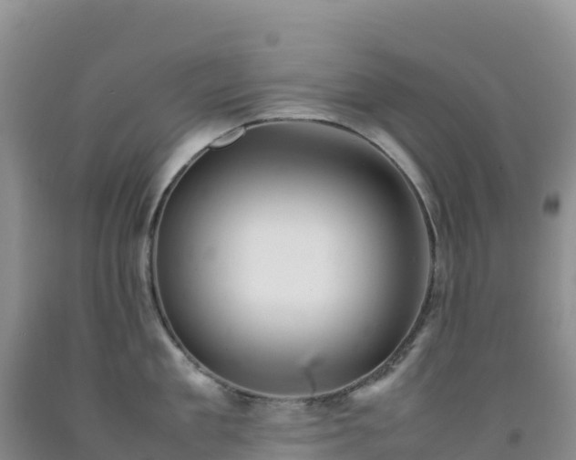 X0000092090909200709191243