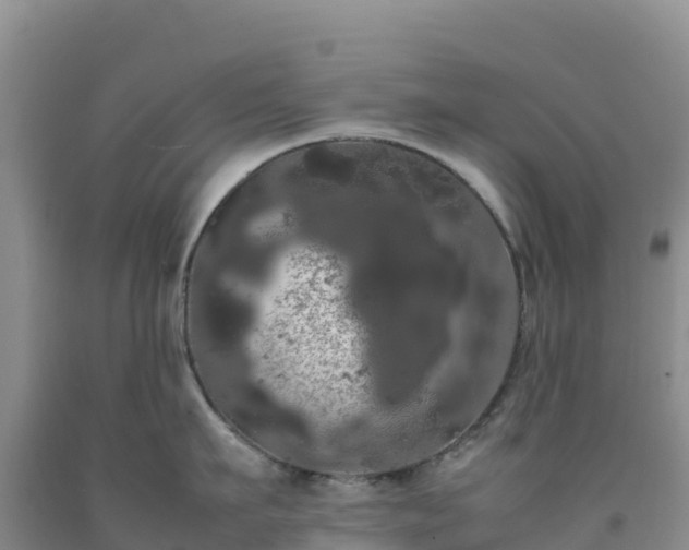 X0000092090911200709191243