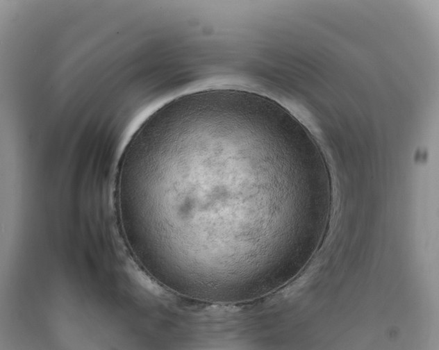 X0000092090912200709191243