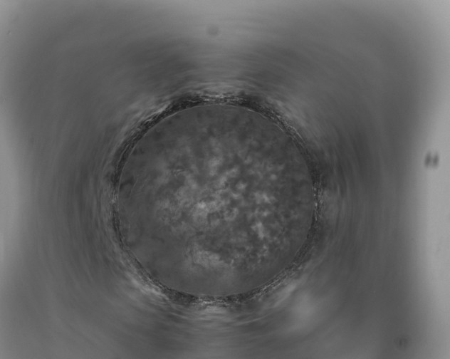X0000092090913200709191242