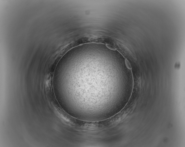 X0000092090914200709191242