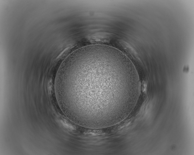 X0000092090915200709191242