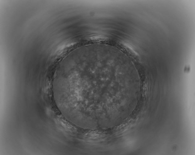 X0000092090917200709191242