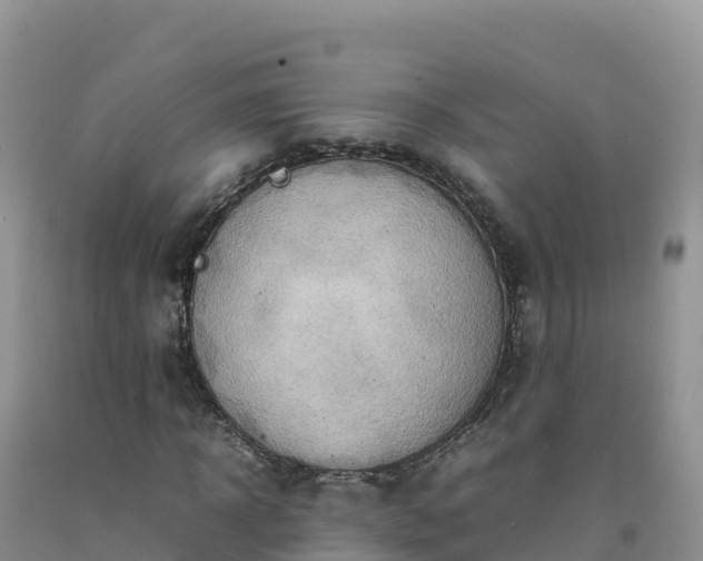 X0000092090918200709191242