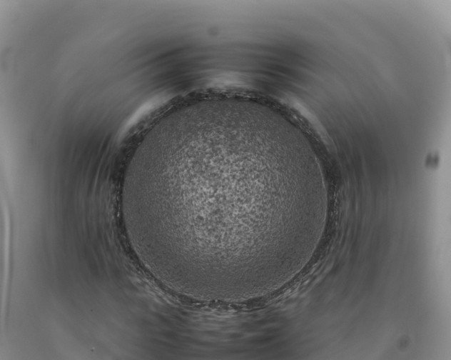 X0000092090919200709191242