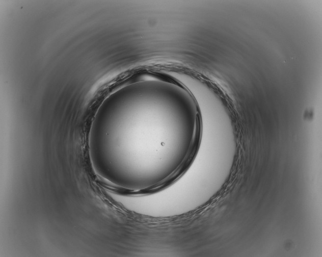 X0000092090920200709191242